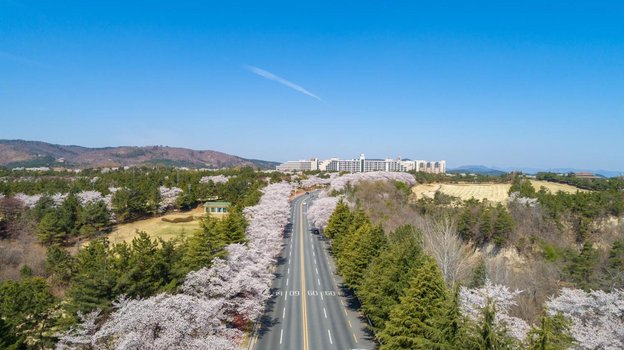 Kensington Resort Gyeongju Eksteriør bilde